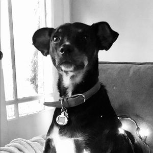 Meet your Posher, Anna